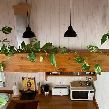 Acogedora Casa En Rinlo, En La Villa De Ribadeo Esterno foto