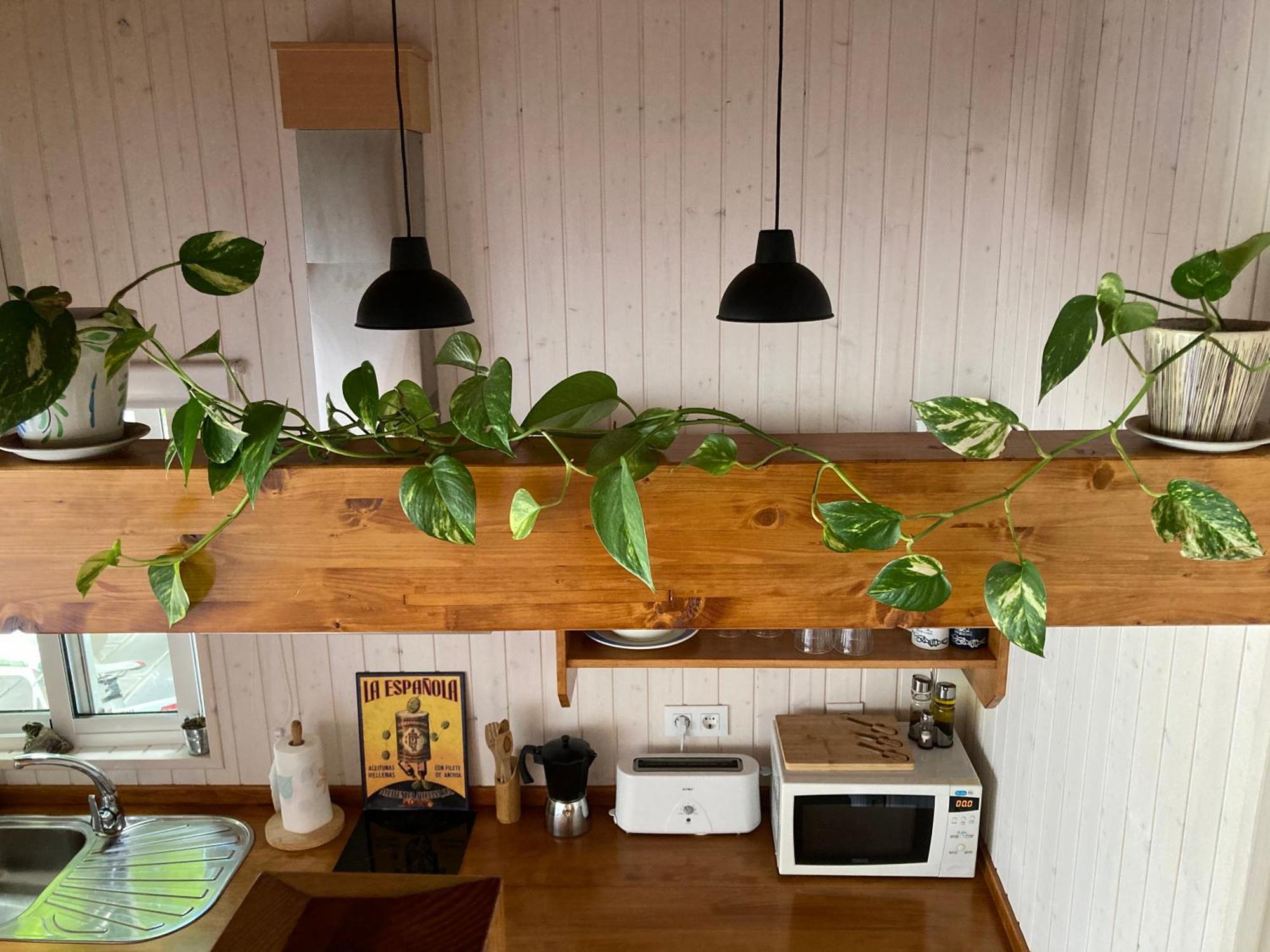 Acogedora Casa En Rinlo, En La Villa De Ribadeo Esterno foto